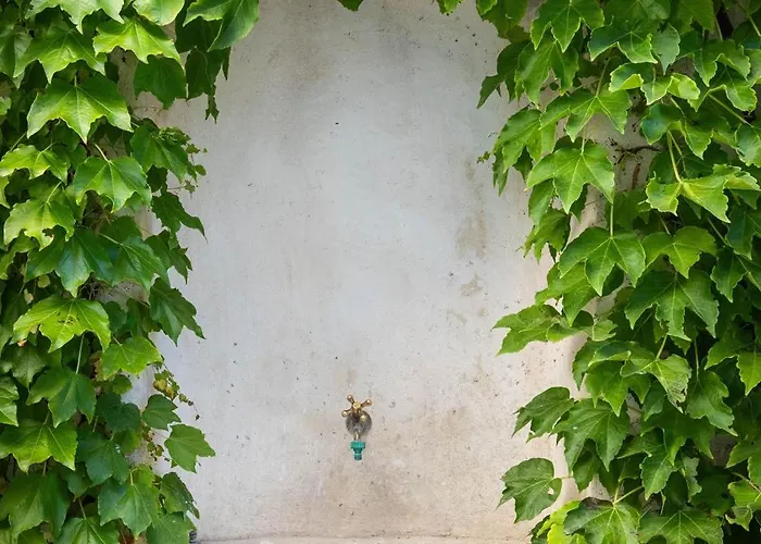 Ani Aquamarine 公寓 杜布罗夫尼克